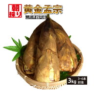 【4月下旬～順次発送】黄金孟宗 朝採りたけのこ 選べる重量 3kg 5kg クール便 山形県鶴岡産 4月下旬から5…