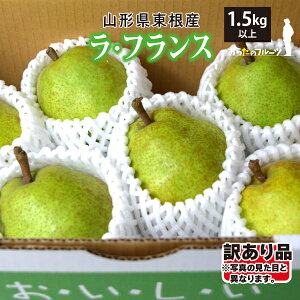 y󂠂z10{` EtX 1.5kg MTCYȏiʐ܂jR`Y 10{`12{ 