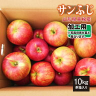 【加工用】12月上旬～ サンふじ 10kg 山形県東根産 12月上旬～1月下旬 順次発送