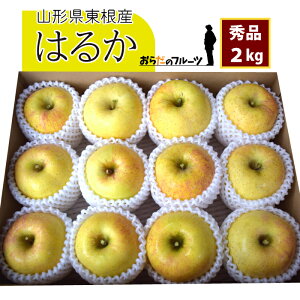 yGiz12{`  ͂邩 2kg R`Y 12{`12{ 