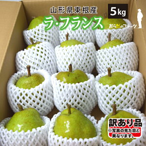 y󂠂z10{` EtX 5kg MTCYȏiʐ܂jR`Y 10{`12{ 
