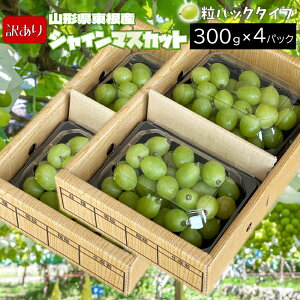 y󂠂z9{` VC}XJbg N[ yIׂe 600g or 1.2kgz JbgpbN R`Y 9{`10{ 