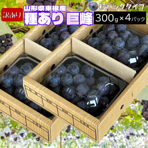 y󂠂z9{` 킠  N[ yIׂe 600g or 1.2kgz JbgpbN R`Y 9{`10{ 