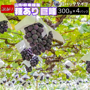y󂠂z9{` 킠  N[ yIׂe 600g or 1.2kgz JbgpbN R`Y 9{`10{ 