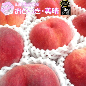 �y8�����{�`���������z�� �d���� ���ǂ낫 ���� 3kg �G�i 8�`11�� �N�[�� �① �R�`�� �����s�Y 8�����{�`9�����{ �������� ���� ����