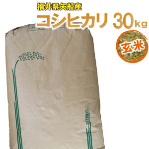 yāzRVqJ ߘa7Nx _ߌ͔| 30kg 䌧Y FʑIʋ@ 䌧FGRt@[}[ HӒm̂nt