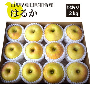 y󂠂z12{` a ͂邩 2kg  R`aY 12{`12{ 