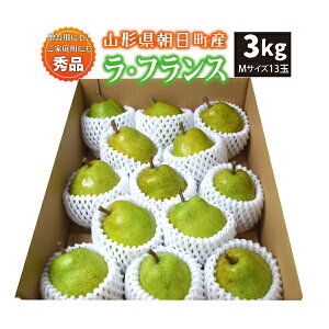 yGiz10{` EtX 3kg MTCY 13 R`Y 10{`12{ 