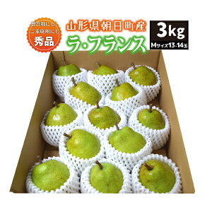 yGiz10{` EtX 3kg MTCY 13-14 R`Y 10{`12{ 