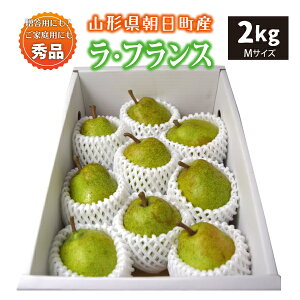 yGiz10{` EtX 2kg MTCY 9 R`Y 10{`12{ 
