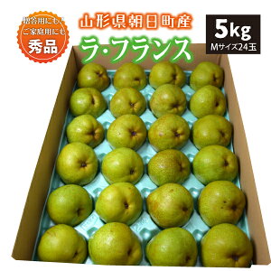 yGiz10{` EtX 5kg MTCY 24 R`Y 10{`12{ 