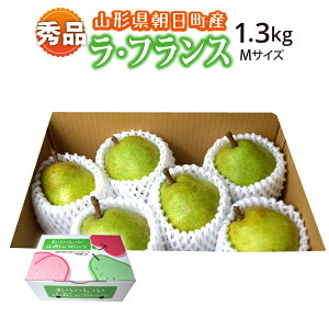 yGiz10{` EtX 1.3kg MTCY 6 R`Y 10{`12{ 