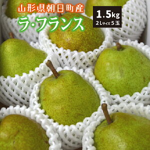 yGiz10{` EtX 1.5kg 2LTCY 5 R`Y 10{`12{ 