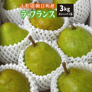yGiz10{` EtX 3kg 2LTCY 11 R`Y 10{`12{ 