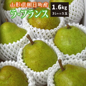yGiz10{` EtX 1.6kg 3LTCY 5 R`Y 10{`12{ 
