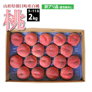 �y�󂠂�z�y8����{�`���������z ���� 5�`11�� 2kg �R�`�� �������Y 8����{�`9�����{ �������� ���� �͂��Ƃ�