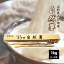 自然薯（やまのいも） 山形県 大石田産 1kg クール便