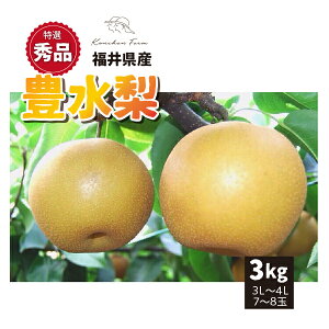yIGiz9{` a L 3kg 3L`4L 7`8 䌧Y 9{`9{ 