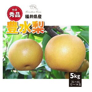 yIGiz9{` a L 5kg 3L`4L 12`14 䌧Y 9{`9{ 
