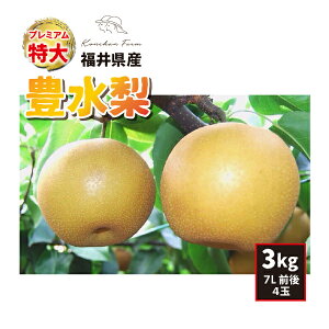 9{` a L 3kg 7LO 4 v~A 䌧Y 9{`9{ 