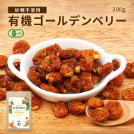 有機 ゴールデンベリー GreenDish 300g 国内製造 ドライフルーツ インカベリー 栄養 味 食用 ほおずき 保…