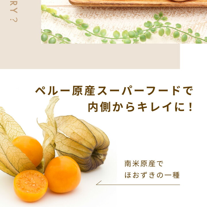 独特の上品 ゴールデンベリー 食用ほおずき 約60粒 2袋 Www Anavara Com