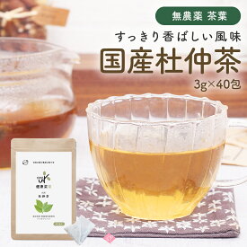 杜仲茶 健康菜茶 国産 ティーバッグ 3g×40包 無添加 無農薬 無漂白 健康茶 美容 お茶 トチュウ茶 とちゅう茶 ノンカフェイン 遠赤焙煎 葉 アスペルロシド ケルセチン 胆汁酸 コレステロール 送料無料