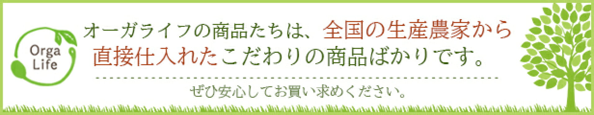 生産者直仕入れ