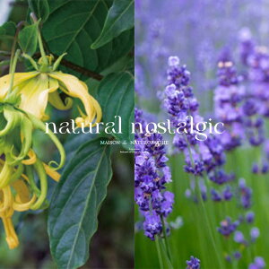 y/tOXzq̍ - [CgxCr[ GbZVpt[ 40ml / ORGANIC MOTHER LIFE I[KjbN}U[CtI[KjbNϕi GVJϕi I[KjbNR