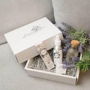 OMLpMtg{bNX / I[KjbN}U[Ct