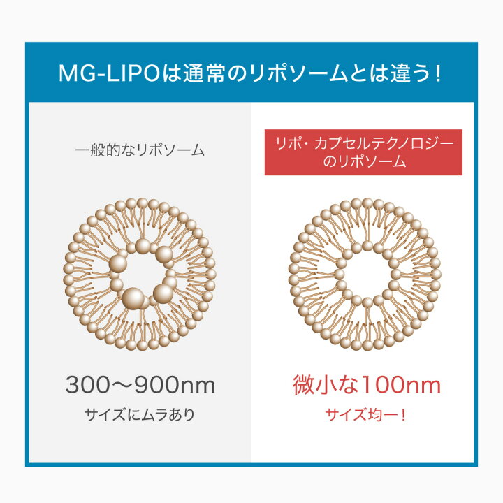 楽天市場】マグネシウム サプリ マグリポ 2箱 (30包x2) 安全 液体 高 