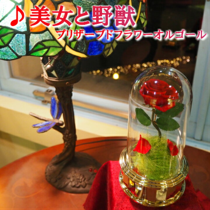 楽天市場 美女と野獣 プリザーブドフラワーオルゴール オルゴール プレゼント ギフト お返し 記念日 贈り物 誕生日 クリスマス 結婚祝い プロポーズ ホワイトデー 母の日 ディズニー 美女と野獣 プリンセス 花 プリザーブドフラワー バラ かわいい オルゴール