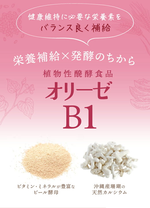 楽天市場】【オリーゼ公式】植物性醗酵食品オリーゼB1 (3g×60包入 