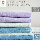 今治タオル ビッグフェイスタオル 3枚セット 吸水性 速乾 大きめ 40 100 スタンダード 乾きやすい 薄手 バスタオル代…