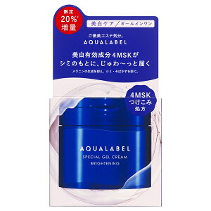 蔭ANA[x XyVWFN[ EX(uCgjO){́Ai20% / 108guAR[Z[K戵Xvv