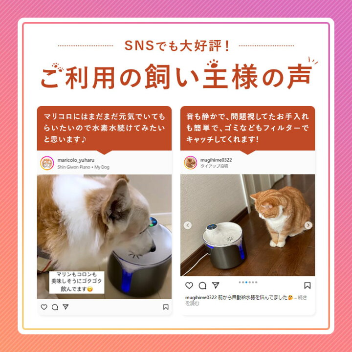 楽天市場】ワンにゃん＆水素水 水素水 自動給水器 犬 猫 ペット用 健康 