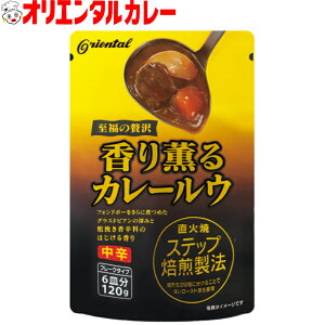 4400~ȏ  ikCEꏜj IG^ O J[ E i6MjJ[CX curry [ Lv AEghA Vs y