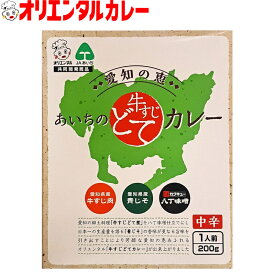 3980円以上で 送料無料 （北海道・沖縄除く） オリエンタル 愛知の恵 あいちの 牛すじ どて カレー 名古屋名物 名古屋 名古屋めし ご当地 レトルトカレー 保存食 備蓄 時短 簡単 レシピ 惣菜 ええもん