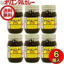 送料無料 （北海道・沖縄除く） オリエンタル マース チャツネ 500g 6個入 レシピ 惣菜 アジアン エスニック 調味料
