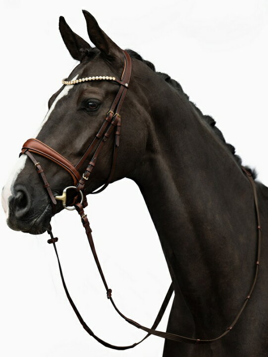 新品】◇頭絡◇コンビ鼻革◇黒色◇cob◇乗馬/馬術/馬具BDサドル 