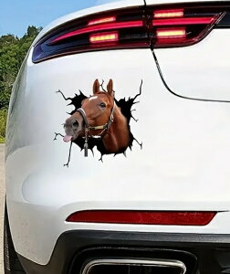 tnE3D_OfUCXebJ[ @/ npiEnEnObY