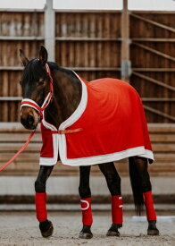 クリスマス　馬のコスプレコート・馬着　-Xmas
