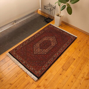 �y���V���O�~ �y�{���C�����Y�z �r�W���[�Y �S���O�~ �A�C�A���J�[�y�b�g 120x75cm 128cm(�[����) ���b�h PS11134 �g���C�o�����O �E�[��&�V���N ��D���O�~ 5��Y�n �g���f�B�V���i�� �A���e�B�[