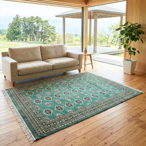 ?�y�����g����10��OFF�zLINE�F�����ǉ��ŃN�[�|��GET�� �p�L�X�^���O�~ ���O 219x158cm �唻 �傫�� ���O �O���[�� �� ��D�� �O�~ �A���e�B�[�N �G���K���g �􉽊w�͗l �M�����͗l ���r���O�T�C�Y