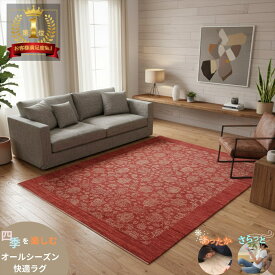 ガゼニラハット 手織り ラグ 絨毯 250x198cm 赤 ペルシャ柄 モダン アジアン インテリア リビング ウール 大判 おしゃれ D813