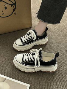 Xj[J[ [Jbg nCJbg LoX Xj[J[ fB[X  6cm EhgD r 킢 l Vv JWA  {[CbV n t  H ~ 