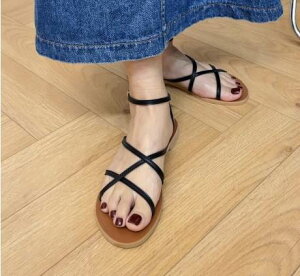 fB[X T_ tbgV[Y ؂񂱃V[Y ؂񂱃pvX vC JV _炩 {A XEF[h xA R[fC 킢 l ꂢ Vv JWA