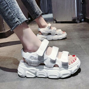 X|[cT_  fB[X ₷ ₷    × xN  PU I[vgD h 5cmq[ [q[ JWA YCN ꂢ X l ؍