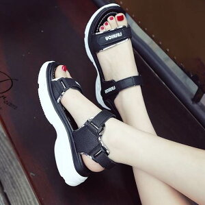 X|[c T_ V[Y  fB[X  q[  ₷ y Vv JWA lC 傫 TCY  X|[eB[ YCN {[CbV t R[f 