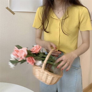  J[fBK fB[X   ؍ UV΍ HD gbvX V[g EhlbN OJ {^ 킢 l Vv JWA  tF~j ^ i ItBX 